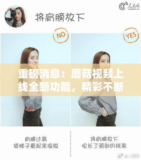 重磅消息：蘑菇视频上线全新功能，精彩不断！