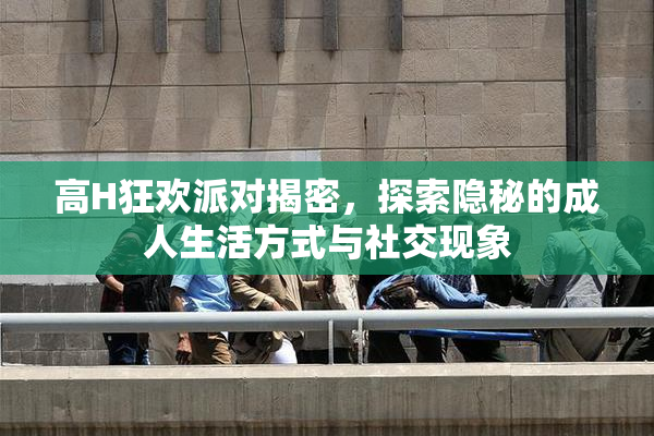 高H狂欢派对揭密，探索隐秘的成人生活方式与社交现象