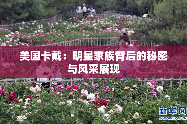 美国卡戴：明星家族背后的秘密与风采展现