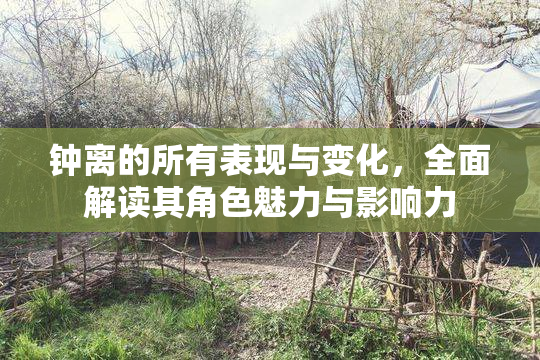 钟离的所有表现与变化，全面解读其角色魅力与影响力