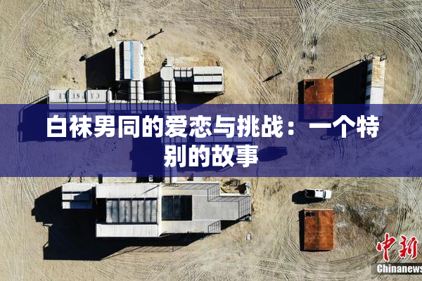 白袜男同的爱恋与挑战：一个特别的故事