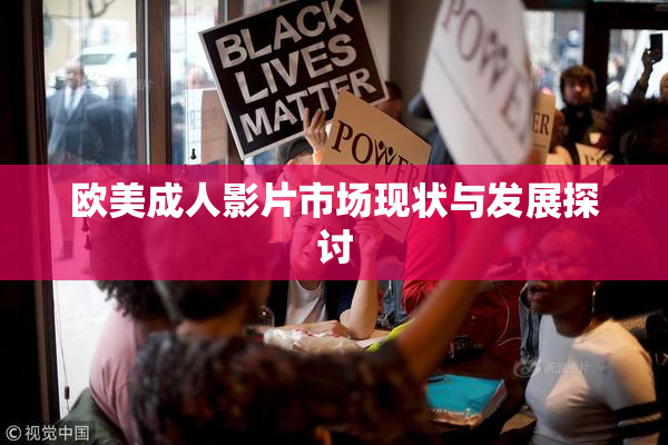 欧美成人影片市场现状与发展探讨