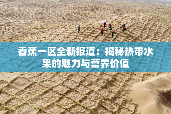 香蕉一区全新报道：揭秘热带水果的魅力与营养价值