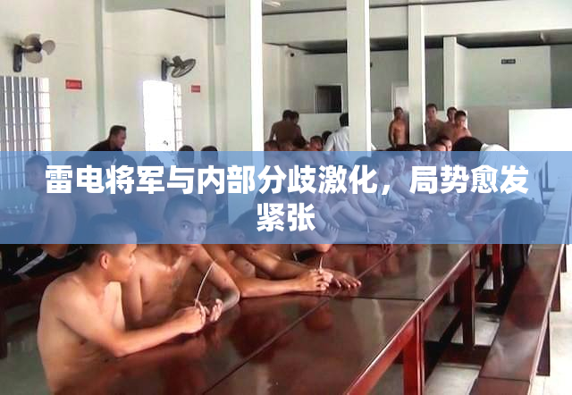 雷电将军与内部分歧激化，局势愈发紧张