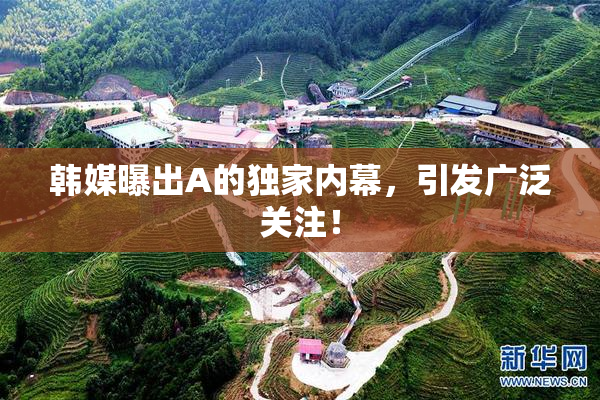 韩媒曝出A的独家内幕，引发广泛关注！