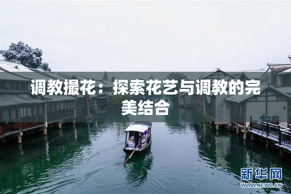 调教撮花：探索花艺与调教的完美结合