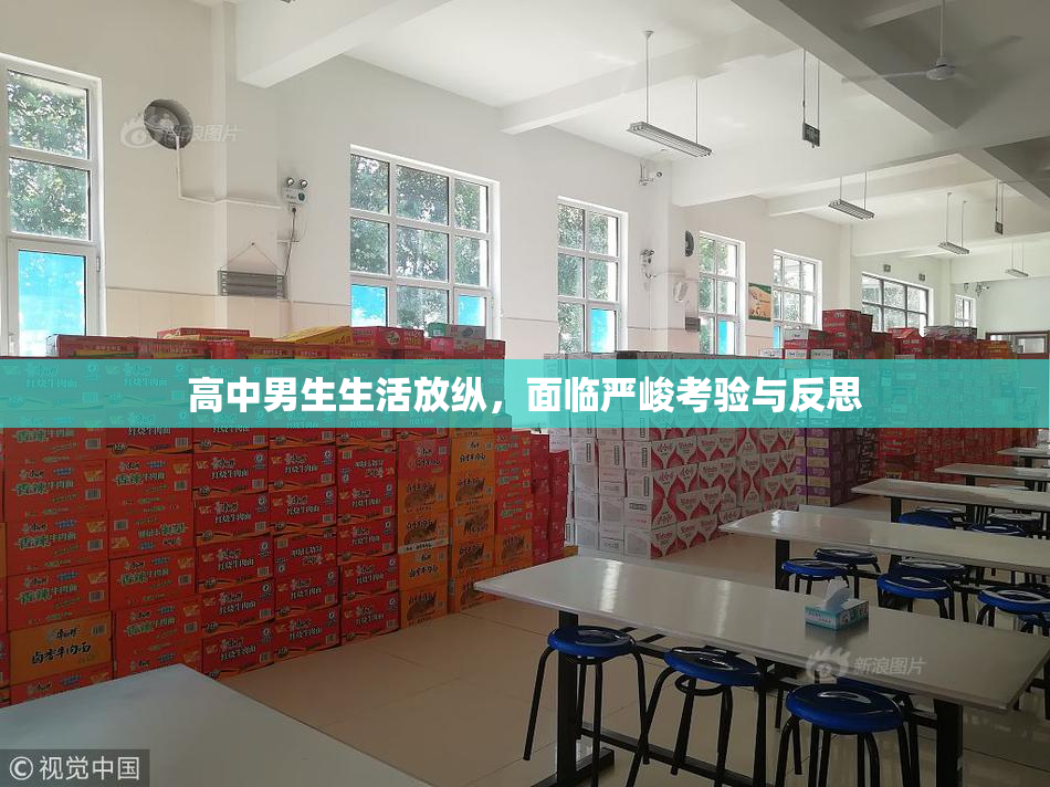 高中男生生活放纵，面临严峻考验与反思