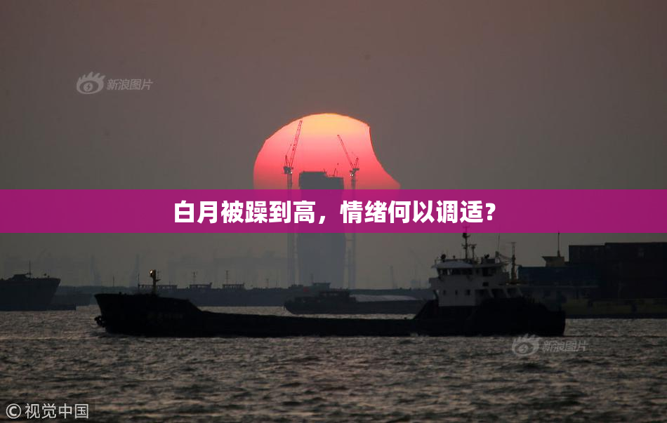 白月被躁到高，情绪何以调适？