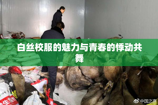 白丝校服的魅力与青春的悸动共舞