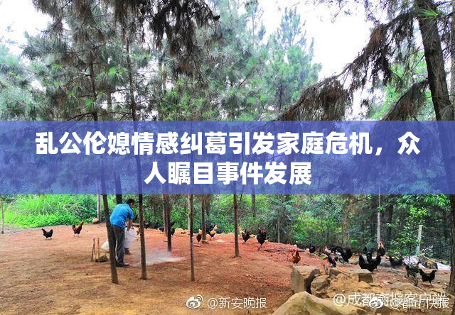 乱公伦媳情感纠葛引发家庭危机，众人瞩目事件发展