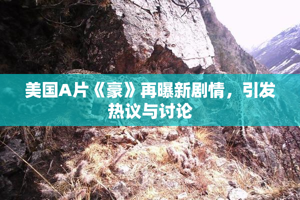 美国A片《豪》再曝新剧情，引发热议与讨论