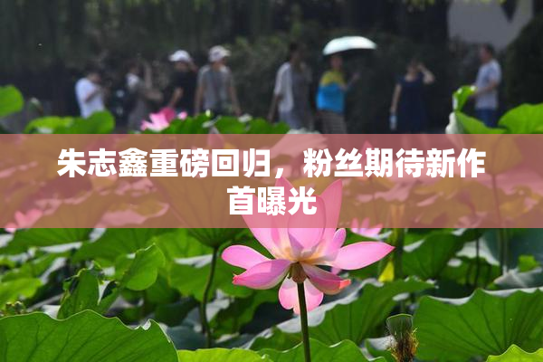 朱志鑫重磅回归，粉丝期待新作首曝光