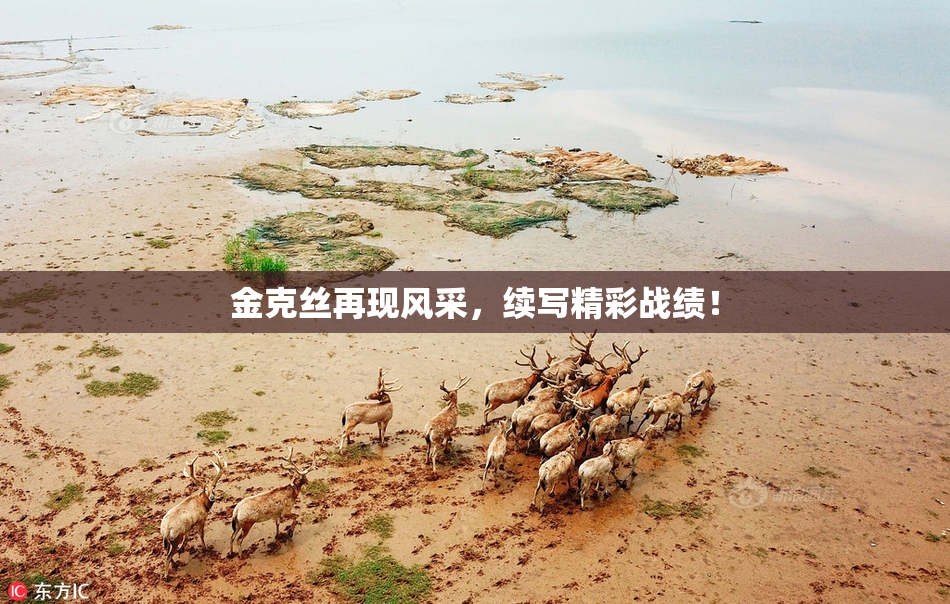 金克丝再现风采，续写精彩战绩！
