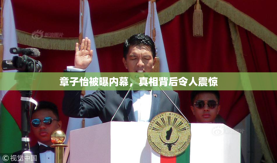 章子怡被曝内幕，真相背后令人震惊