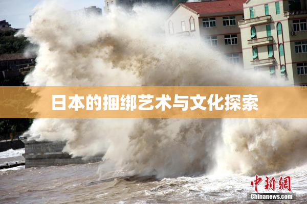 日本的捆绑艺术与文化探索