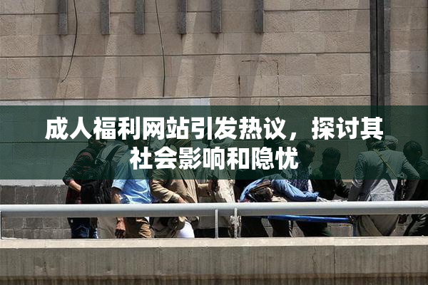 成人福利网站引发热议，探讨其社会影响和隐忧