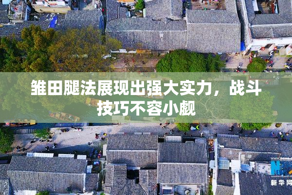 雏田腿法展现出强大实力，战斗技巧不容小觑