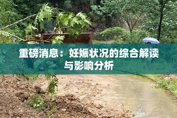 重磅消息：妊娠状况的综合解读与影响分析