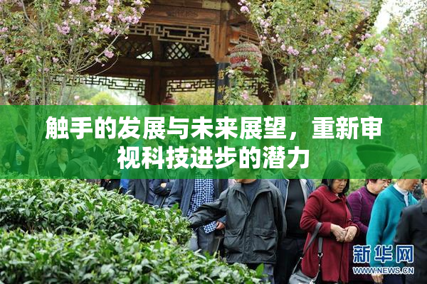 触手的发展与未来展望，重新审视科技进步的潜力