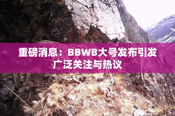 重磅消息：BBWB大号发布引发广泛关注与热议
