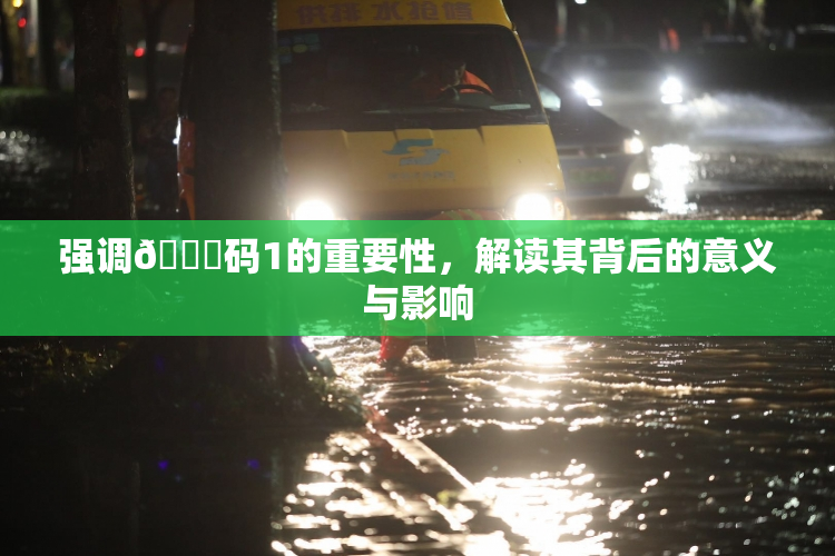 强调🈚码1的重要性，解读其背后的意义与影响