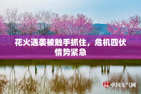 花火遇袭被触手抓住，危机四伏情势紧急