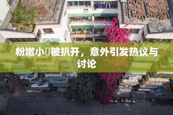 粉嫩小泬被扒开，意外引发热议与讨论