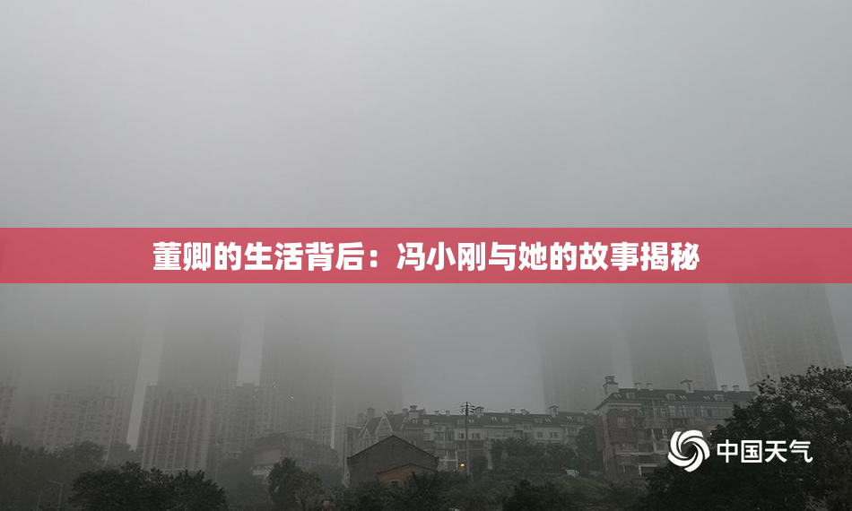 董卿的生活背后：冯小刚与她的故事揭秘