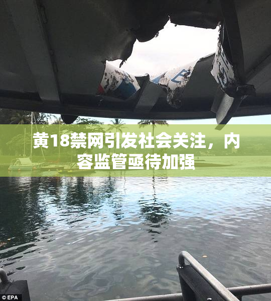 黄18禁网引发社会关注，内容监管亟待加强