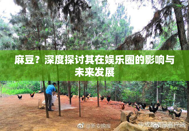 麻豆？深度探讨其在娱乐圈的影响与未来发展