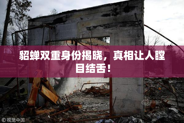 貂蝉双重身份揭晓，真相让人瞠目结舌！