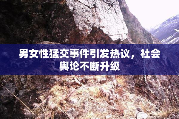 男女性猛交事件引发热议，社会舆论不断升级