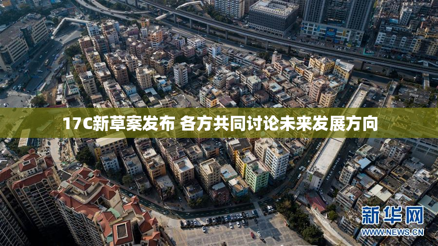 17C新草案发布 各方共同讨论未来发展方向