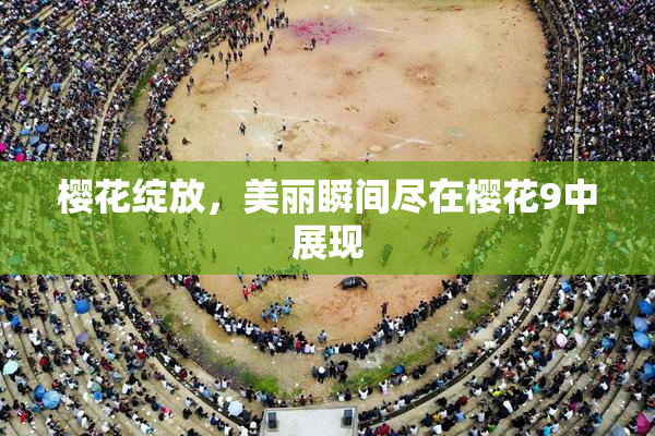 樱花绽放，美丽瞬间尽在樱花9中展现