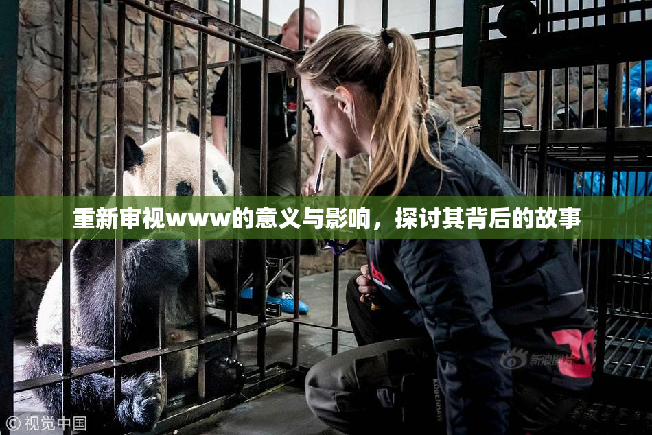 重新审视www的意义与影响，探讨其背后的故事