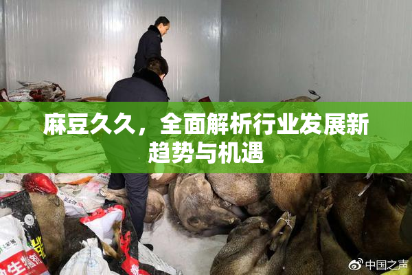 麻豆久久，全面解析行业发展新趋势与机遇