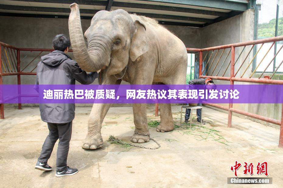 迪丽热巴被质疑，网友热议其表现引发讨论