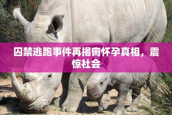 囚禁逃跑事件再揭脔怀孕真相，震惊社会