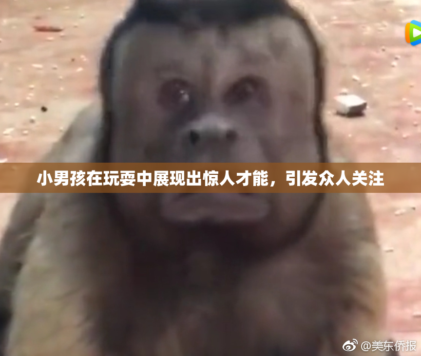 小男孩在玩耍中展现出惊人才能，引发众人关注