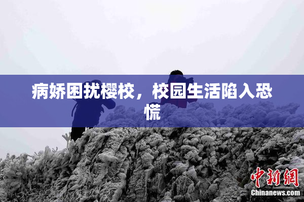 病娇困扰樱校，校园生活陷入恐慌