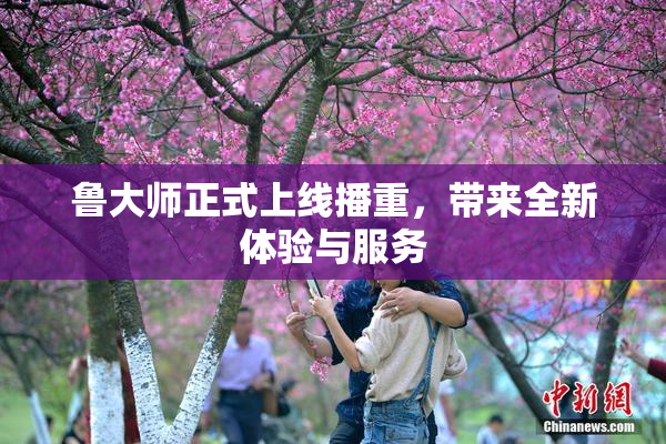 鲁大师正式上线播重，带来全新体验与服务