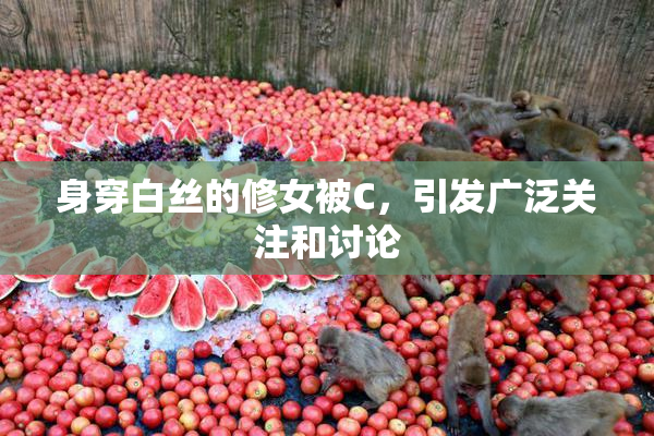 身穿白丝的修女被C，引发广泛关注和讨论