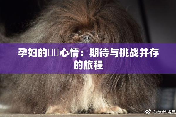 孕妇的乂乄心情：期待与挑战并存的旅程