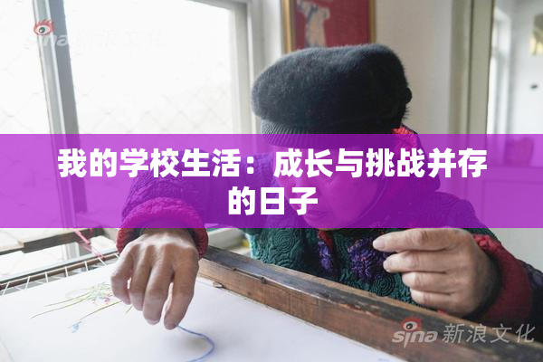 我的学校生活：成长与挑战并存的日子