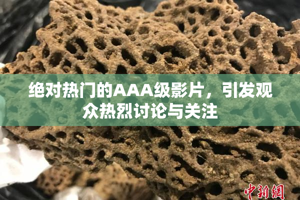 绝对热门的AAA级影片，引发观众热烈讨论与关注