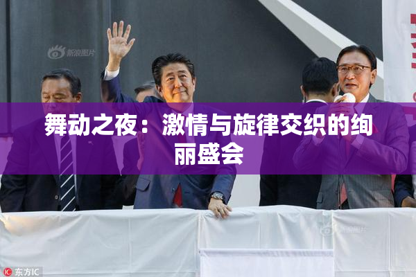 舞动之夜：激情与旋律交织的绚丽盛会