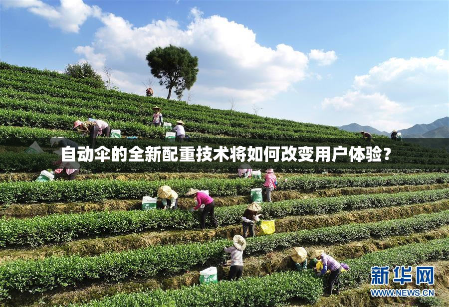 自动伞的全新配重技术将如何改变用户体验？
