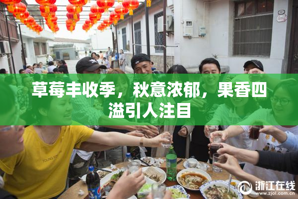 草莓丰收季，秋意浓郁，果香四溢引人注目