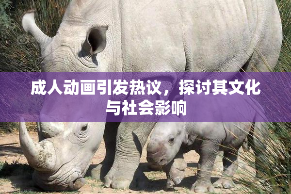 成人动画引发热议，探讨其文化与社会影响