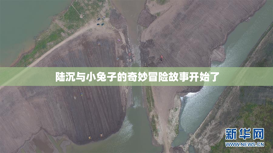 陆沉与小兔子的奇妙冒险故事开始了